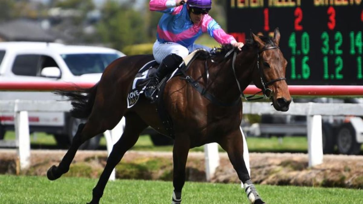 Nedwin and Kuru win Great Northern