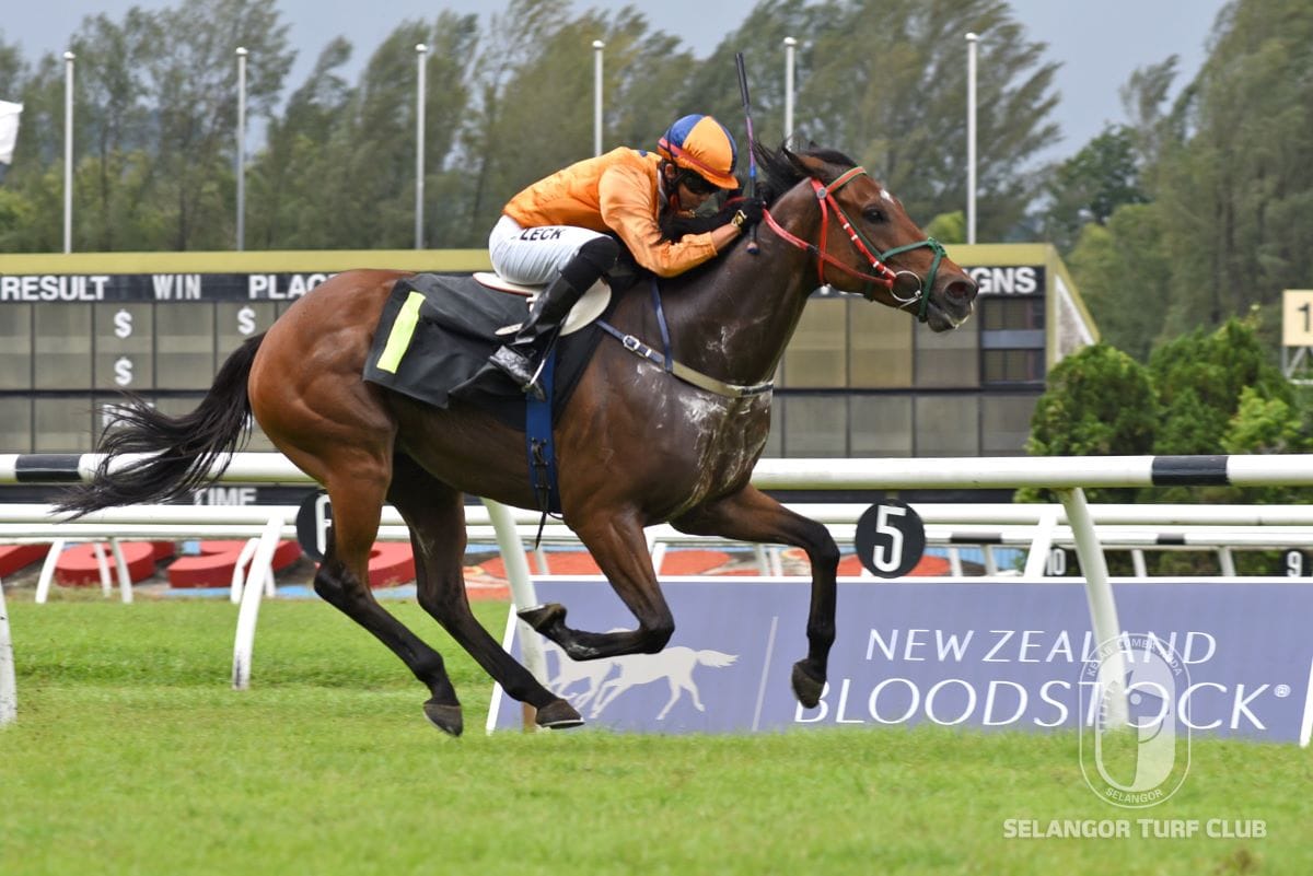 Nadeem gelding wins Selangor Gold Cup