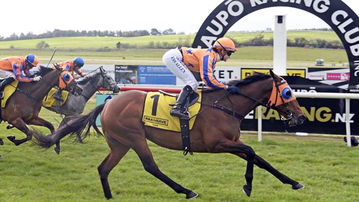 Romancing The Moon resumes in style