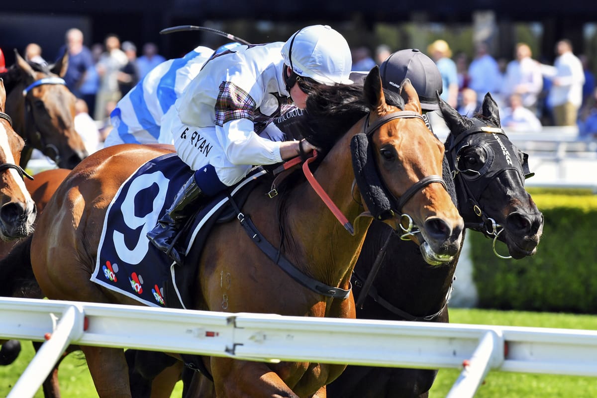 Lucrative aim for Satness