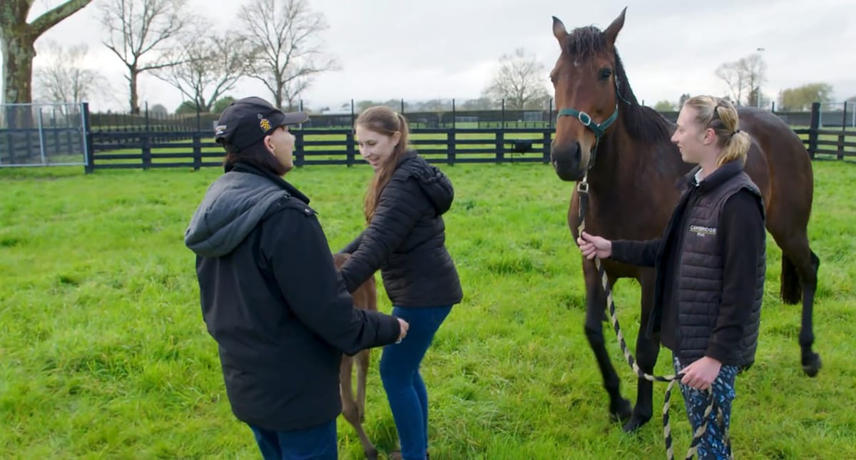 Probabeel’s First Foal