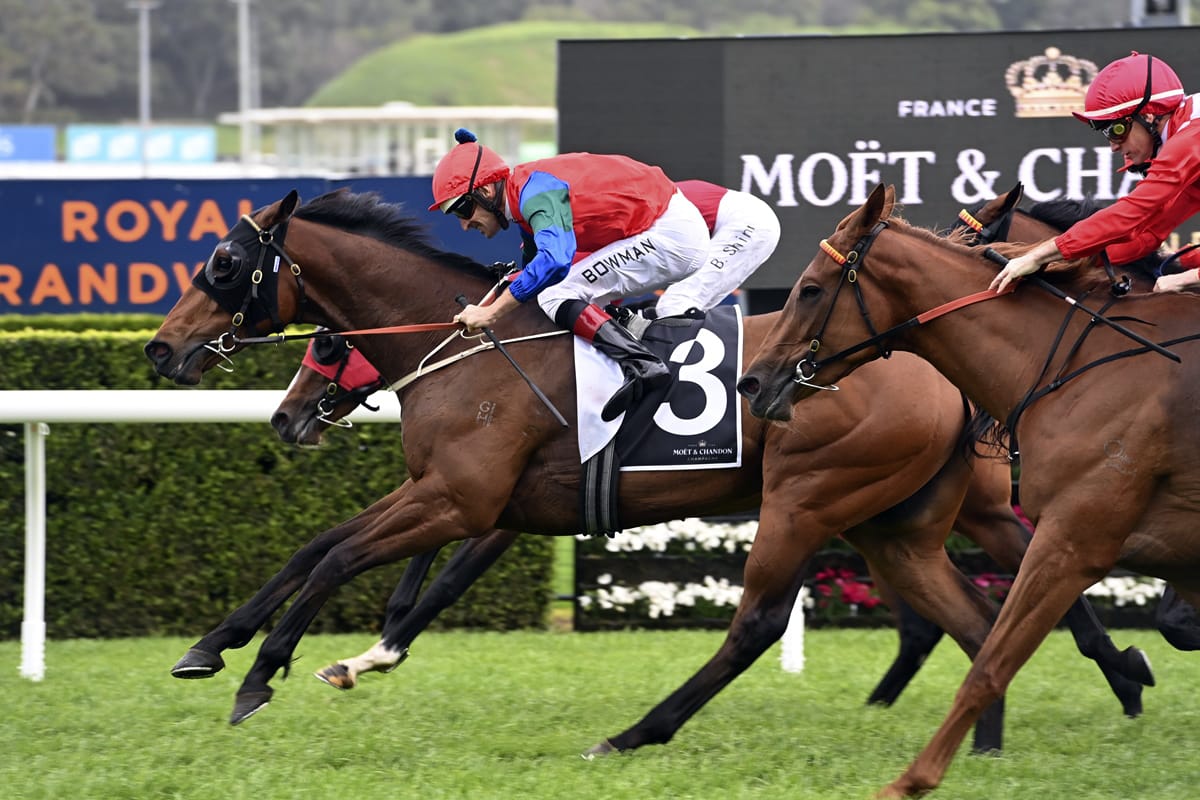 Group One winner looking sharp ahead of Tarzino Trophy
