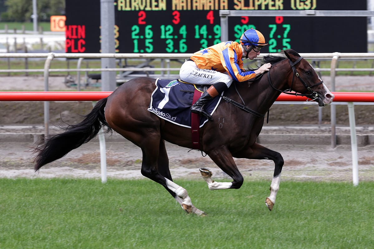 Tokyo Tycoon resuming at Hastings