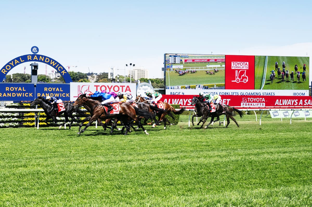 Raf Attack all the way in Gloaming