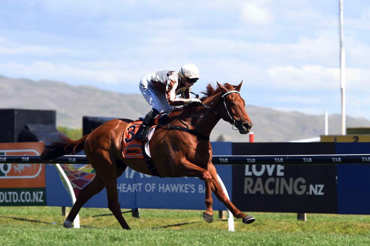 Adam I Am up for Thames Cup challenge