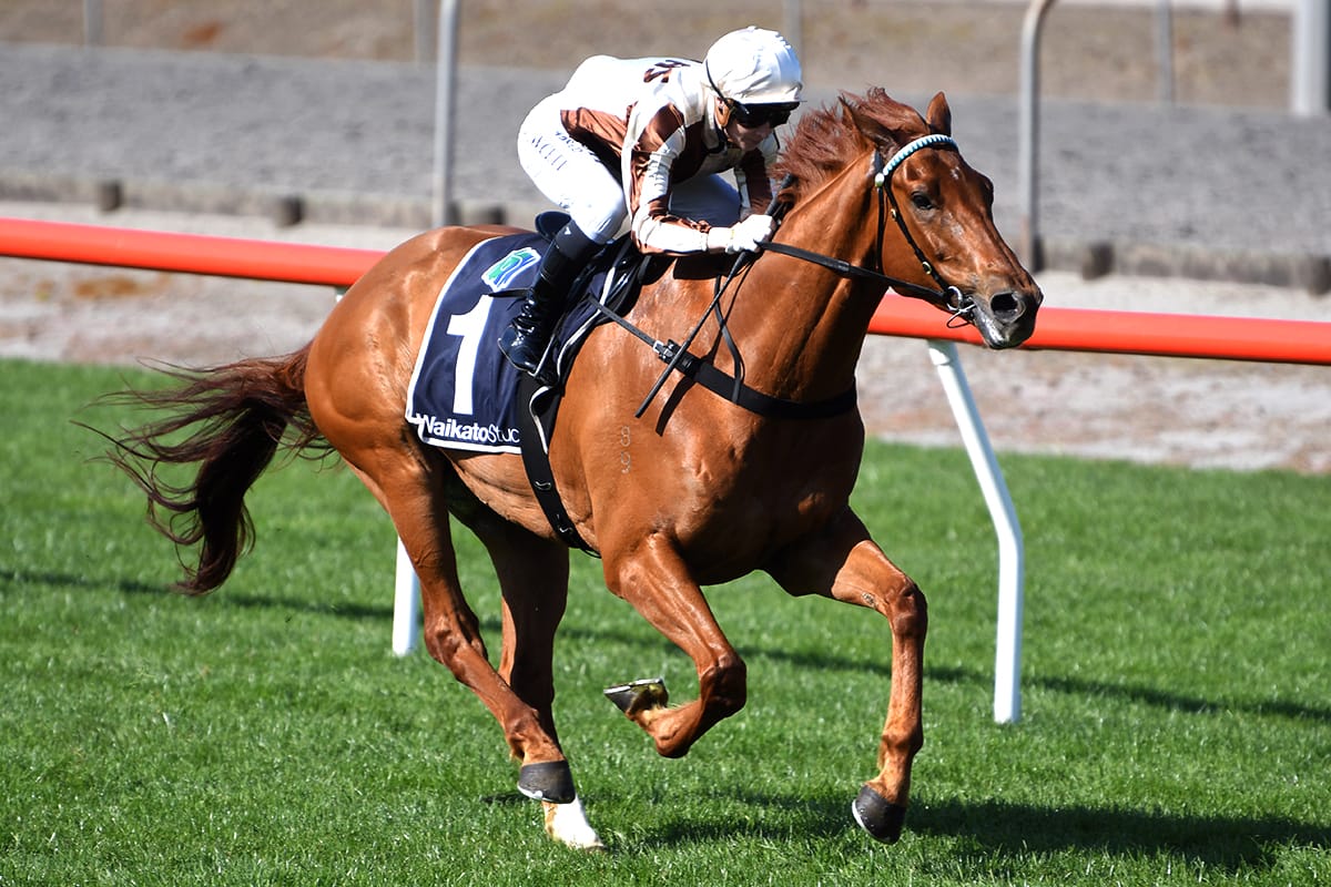 Old eyeing million dollar prize