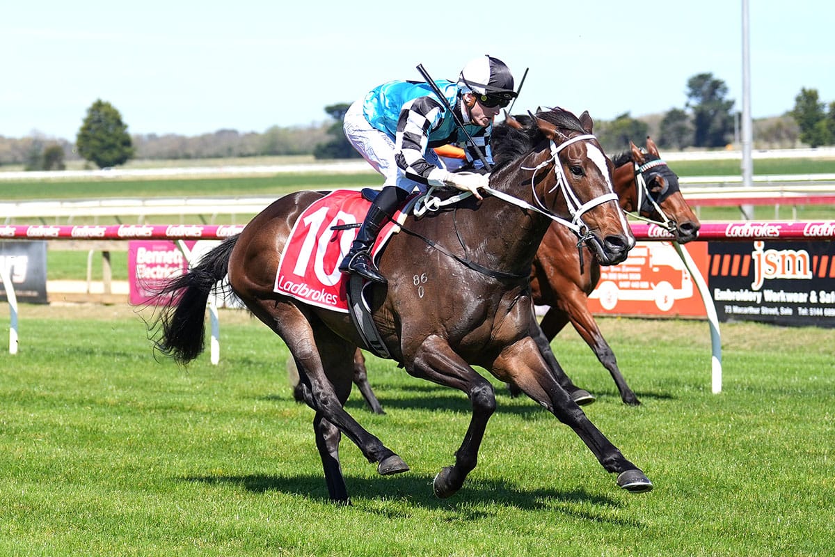 Derby dreaming for Eminent’s son Dulcet