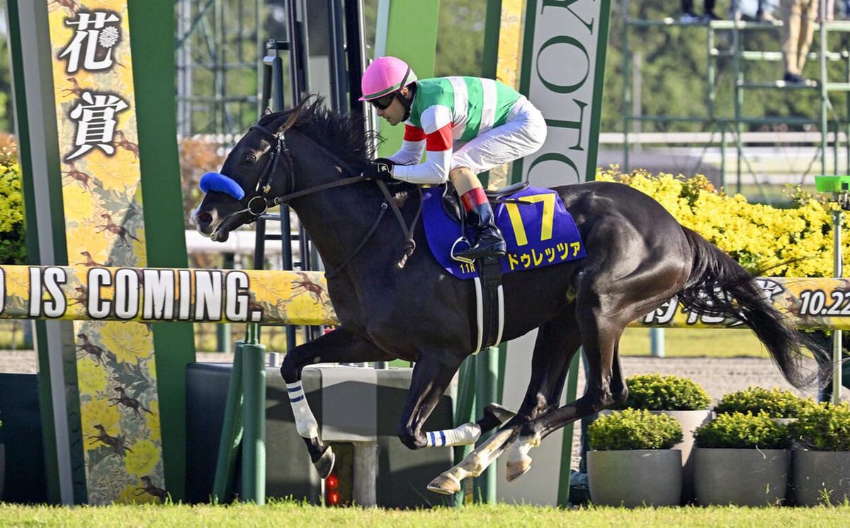 Japanese St Leger winner for NZ Oaks heroine