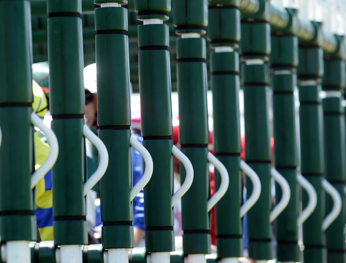 Auckland Thoroughbred Racing pattern and racing changes for the 2023/24 season 