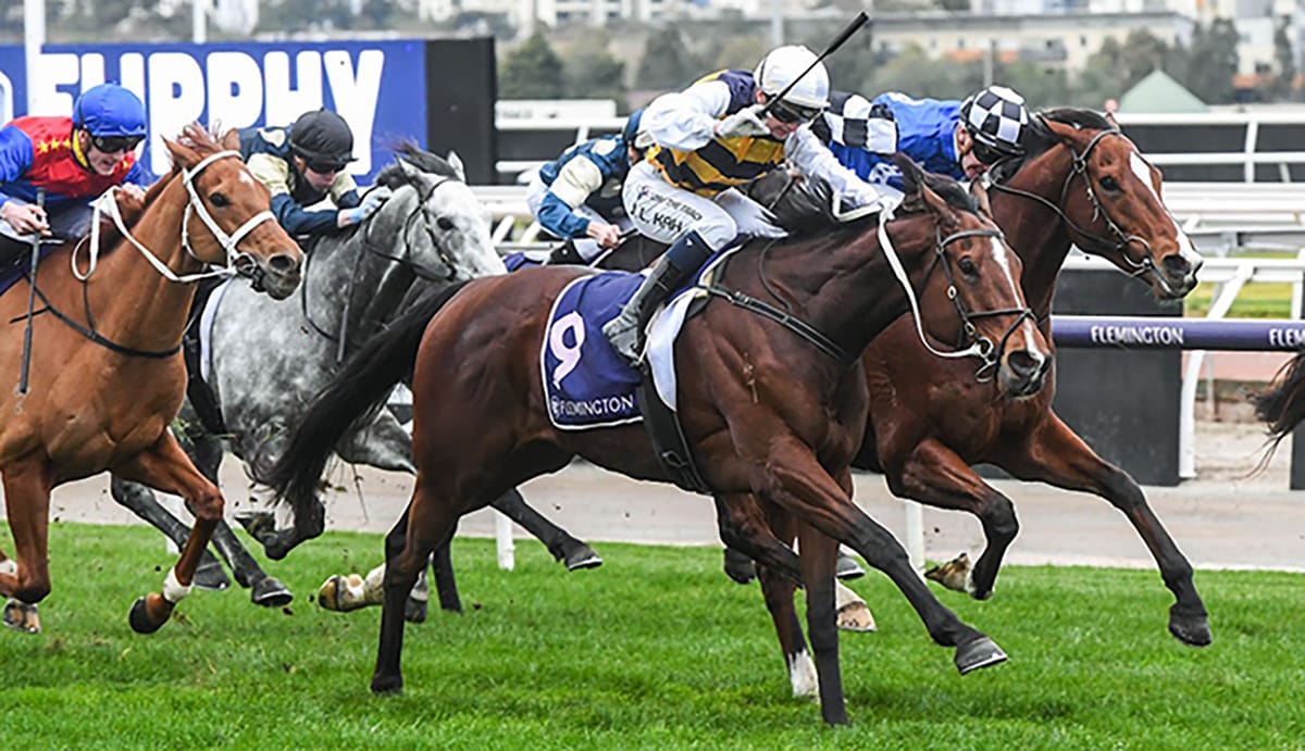 Hezashocka waiting on a run