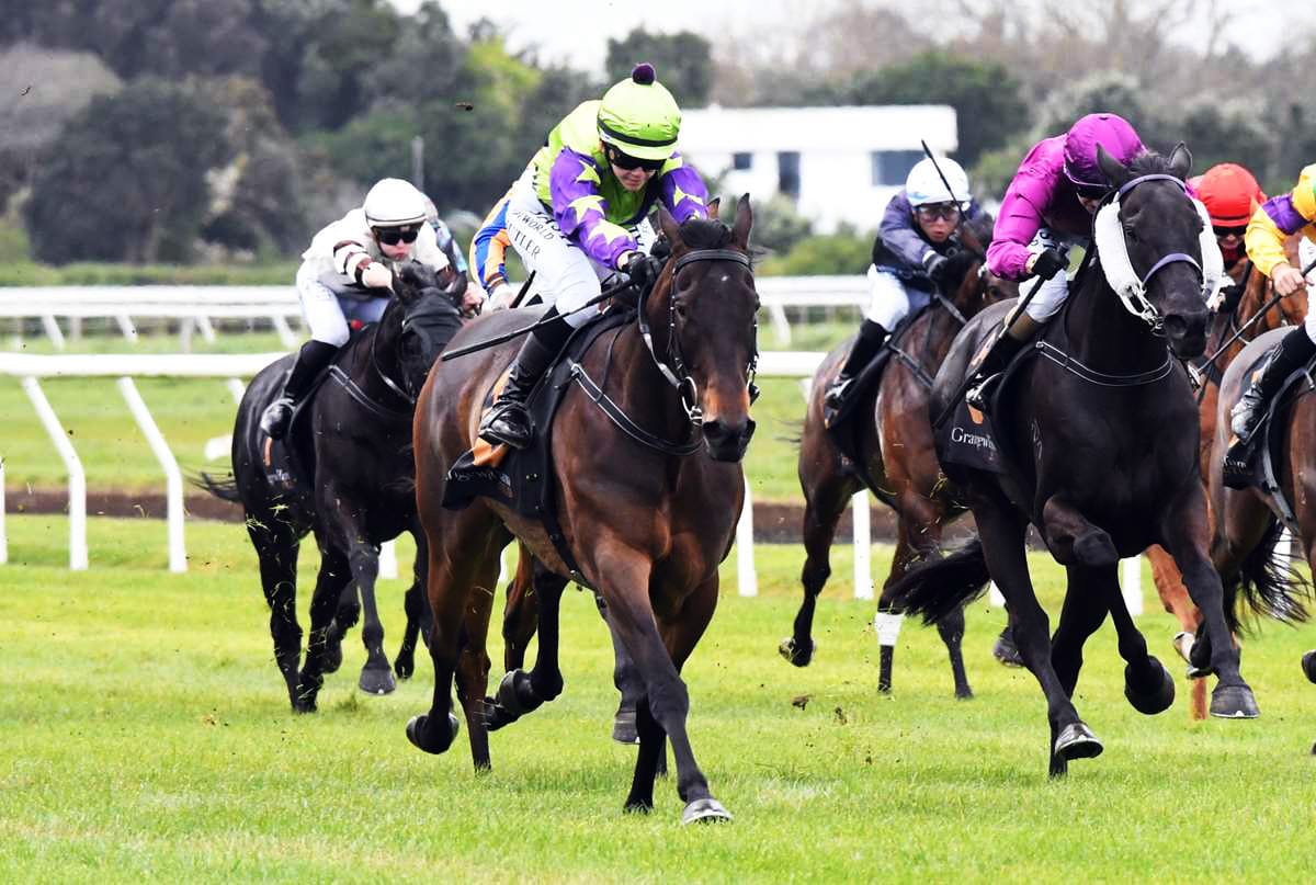 Reid ready to set classy mare loftier goals