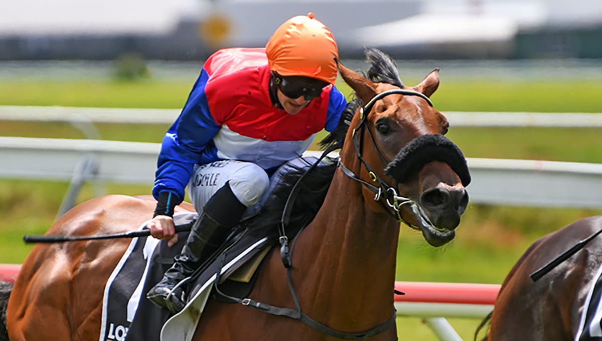 Highly Vindicated clears maiden ranks