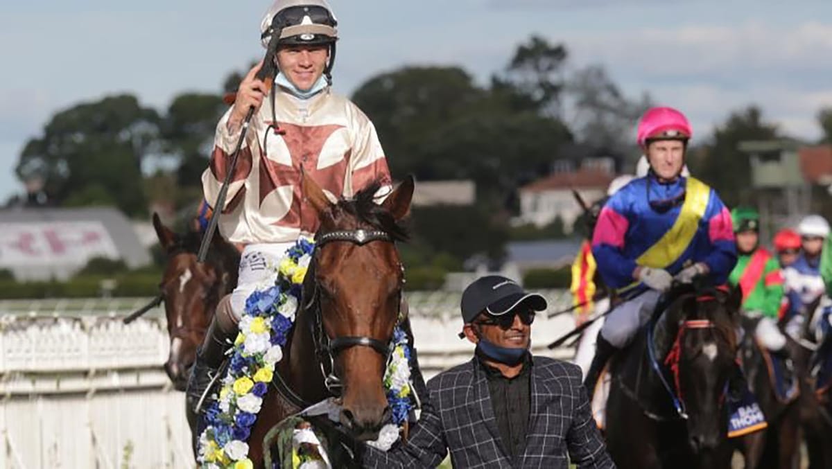 Uaeastar on the comeback trail