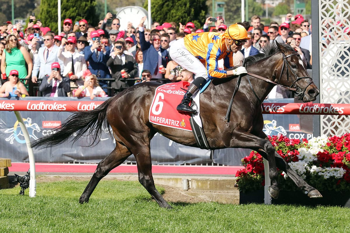 Imperatriz a class above in Manikato