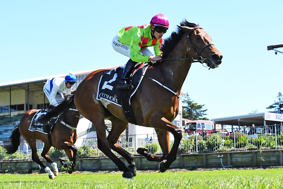 Key Largo posts Tauranga win