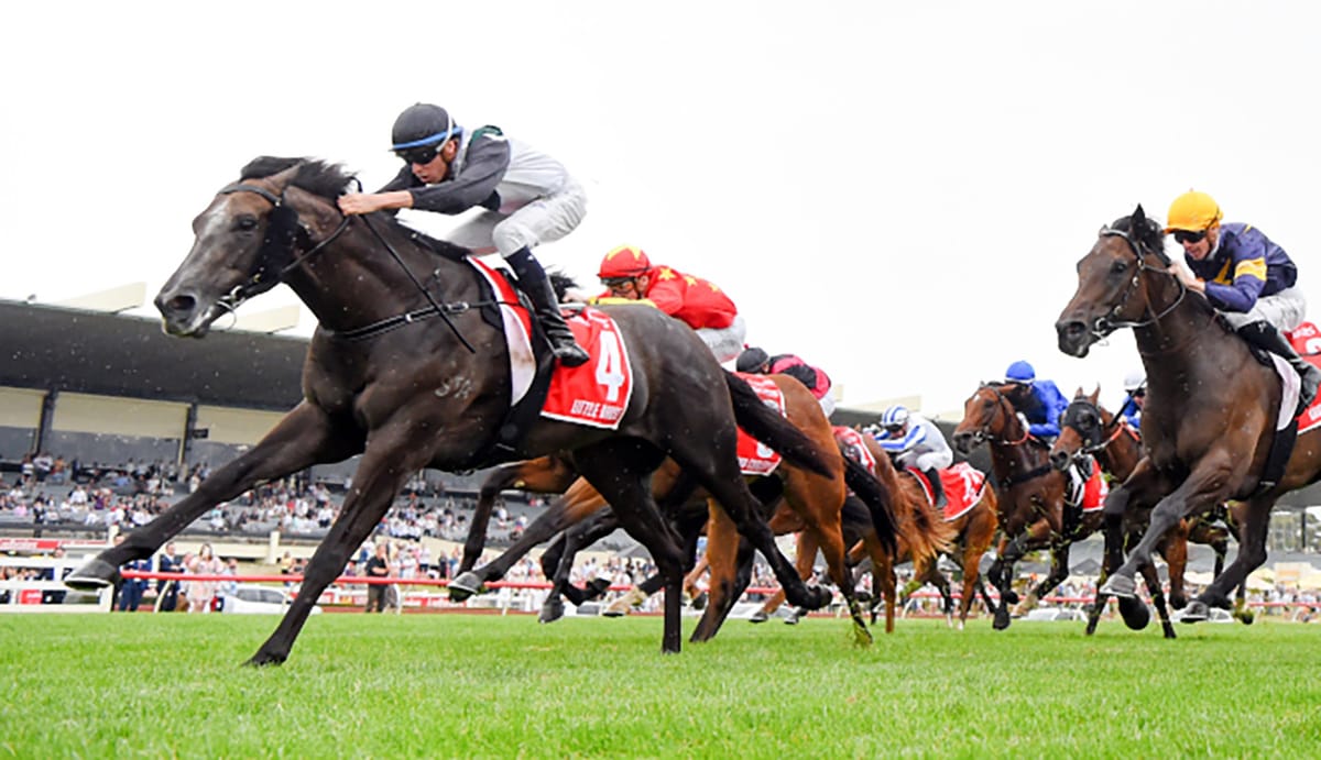 Little Brose primed for Hong Kong debut