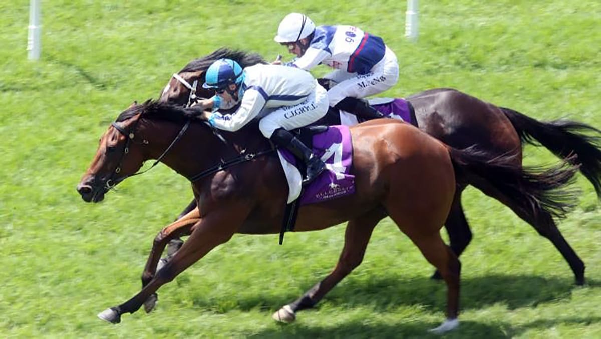 Mach Schnell headed towards Group One goals