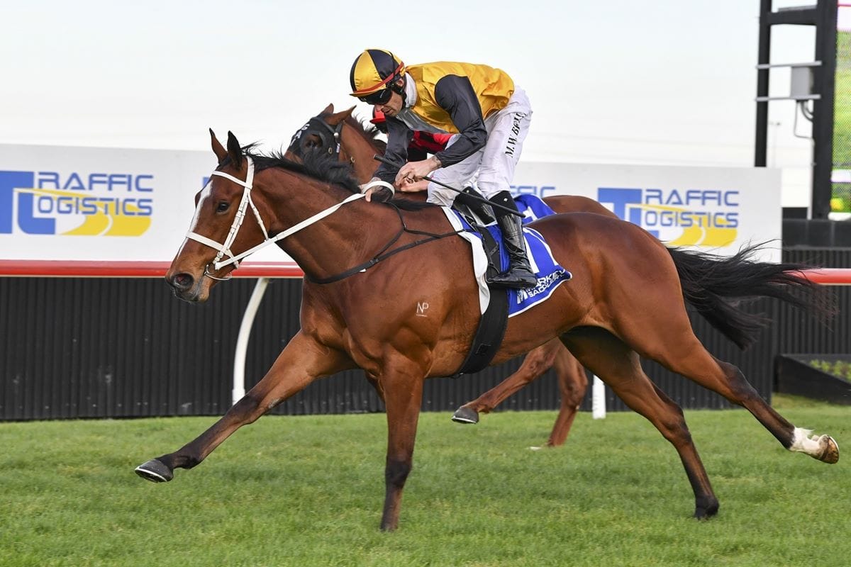 The only 3YO left in the Cup