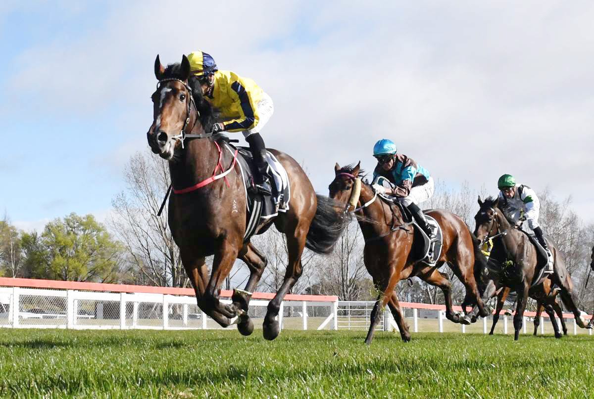 Molly set to Bloom in Soliloquy