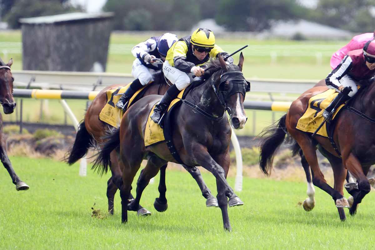 Patterson team Trentham bound