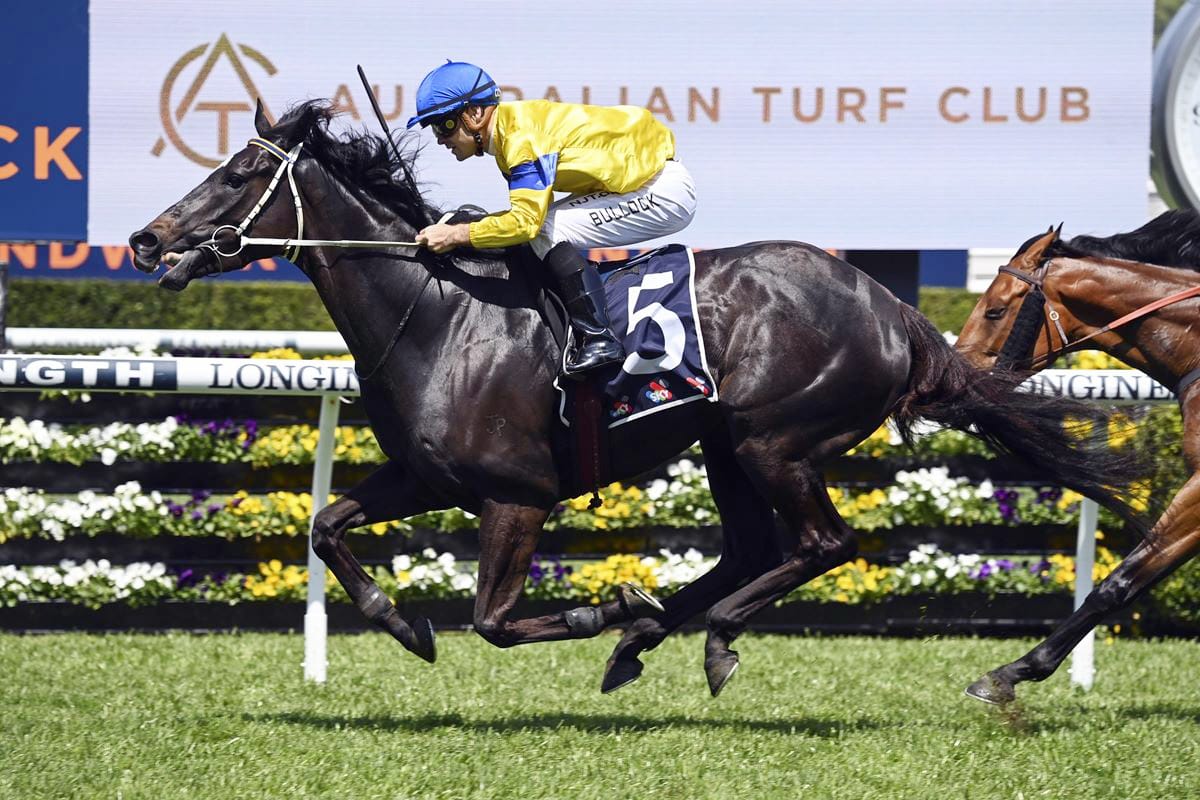 Clear-air sees the best of Peace Officer