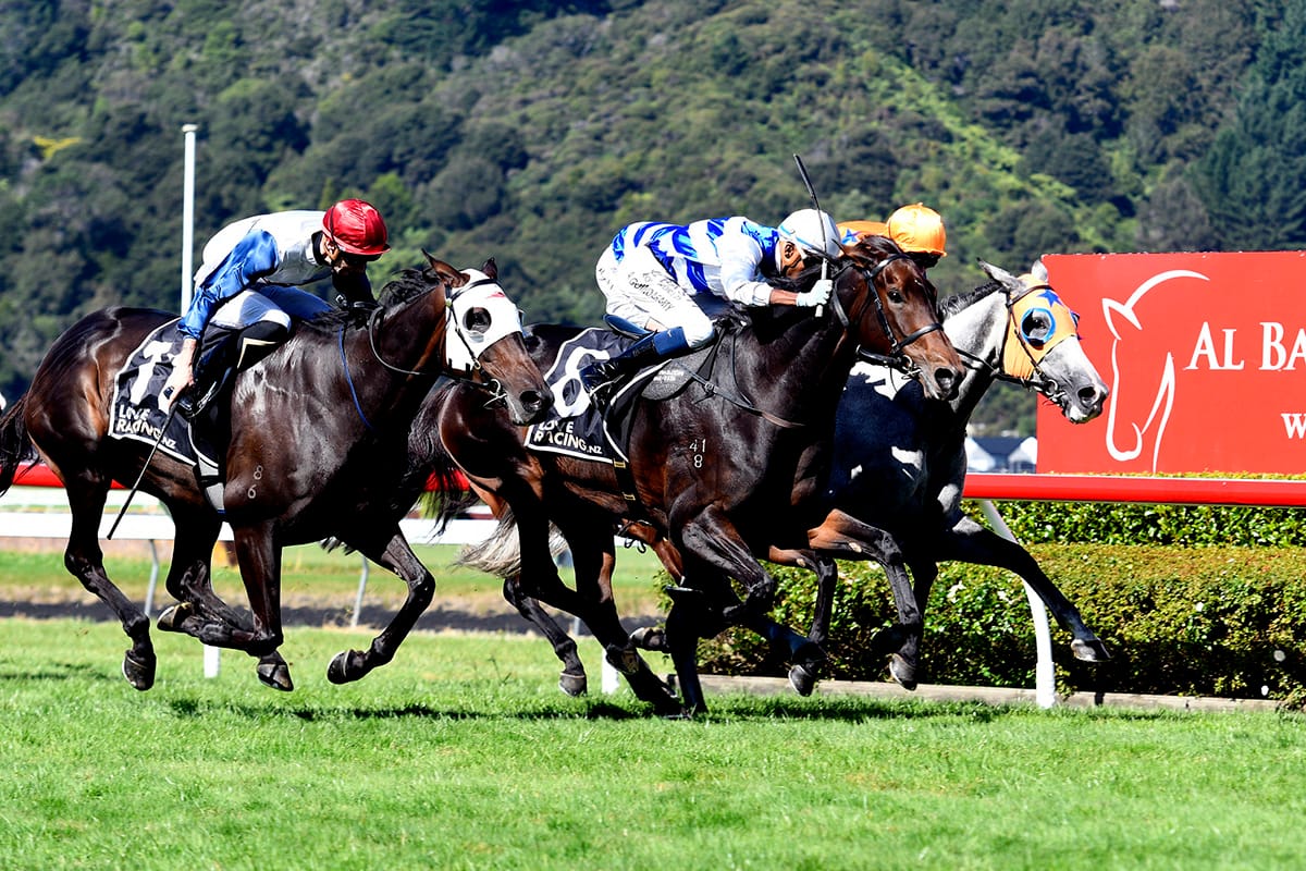 Pearl ready to shine in Group One