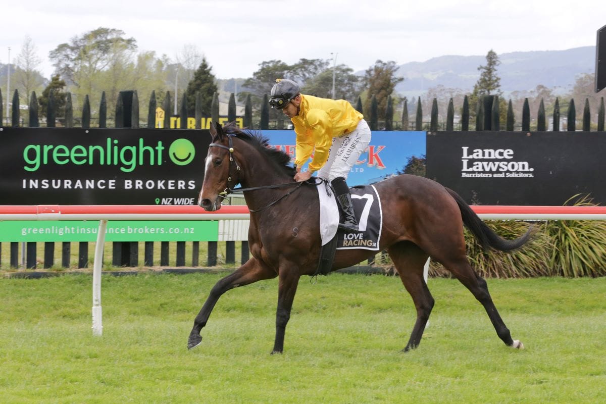 Psyclone gets maiden win at Rotorua