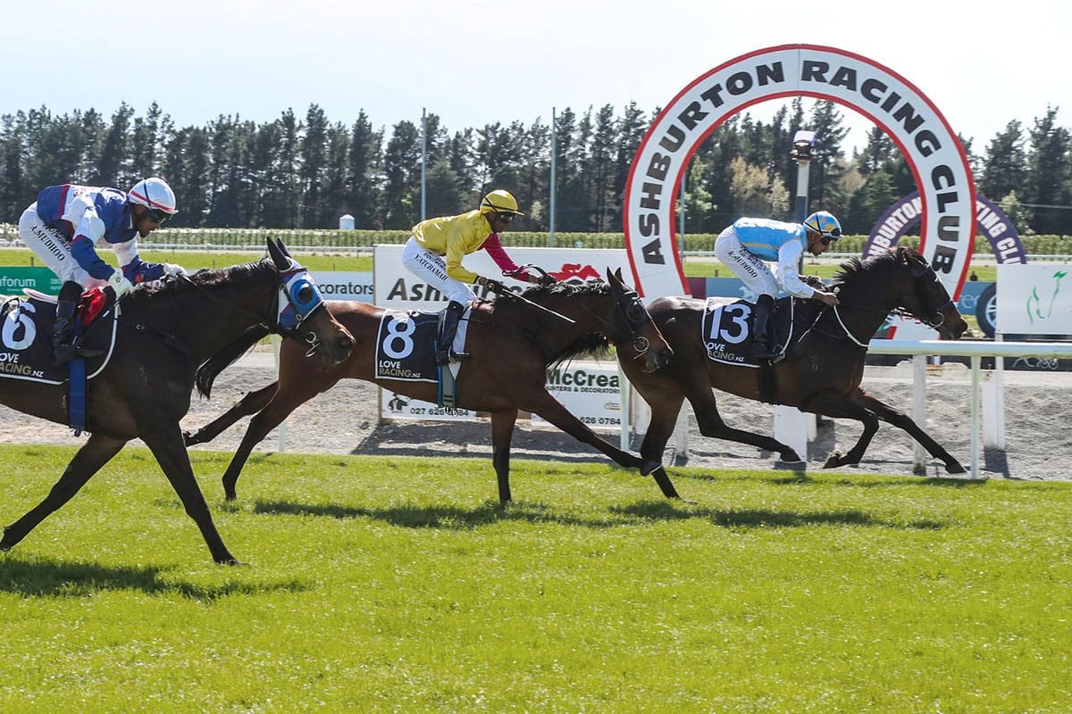 Quintabelle wins stylishly at Ashburton