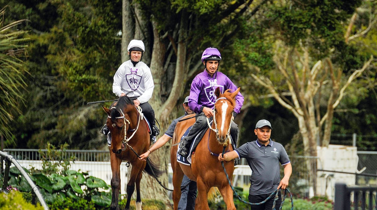 Breeze Up Footage Now Available to View Online