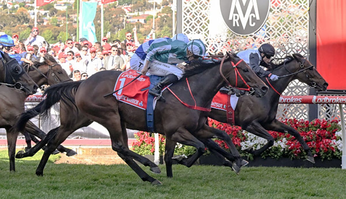 Hayes: Let's get Brightside to HK