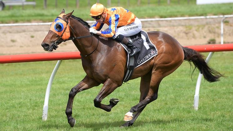 Rule of Law continues Te Akau's winning run