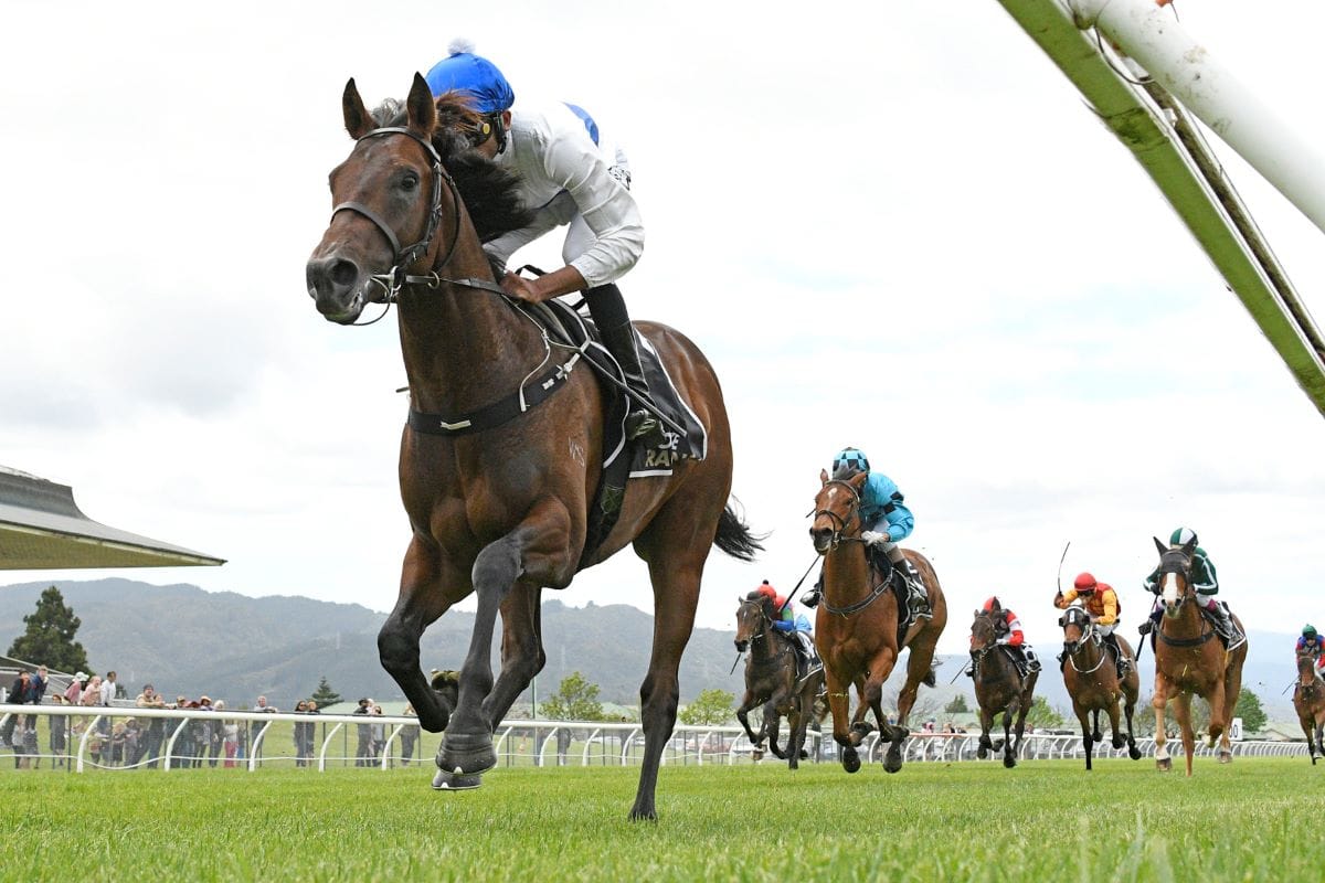 Savaglee aiming for million dollar feature