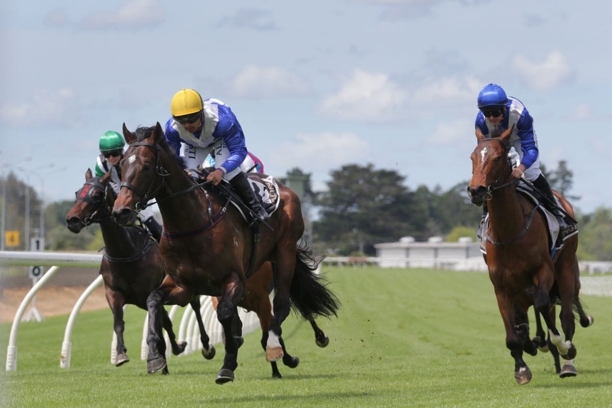 So Naive heads stable quinella