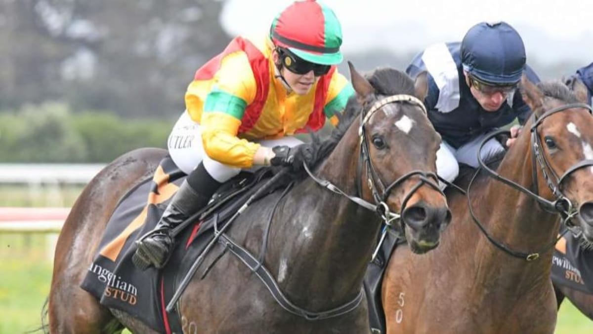 Stipulator to be aimed at Guineas