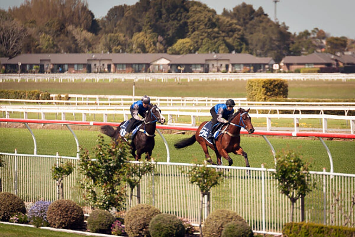 Perfect Conditions on Day One of Breeze Ups 