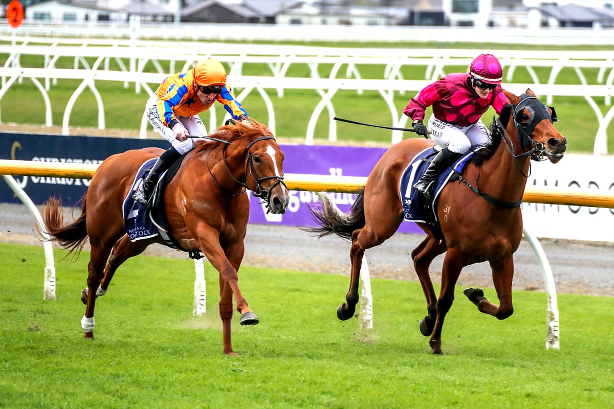 Southern fillies set to battle it out again