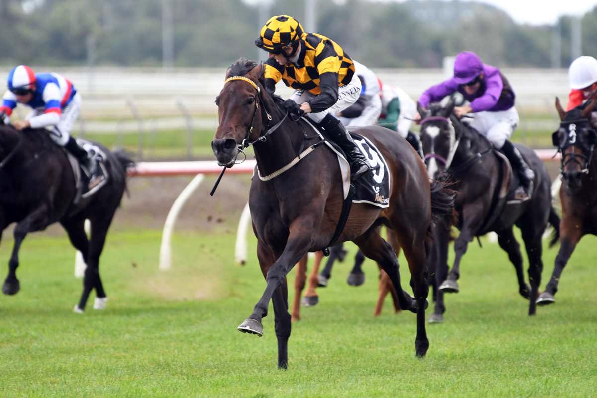 Noble hoping Aquacade will turn Pukekohe fortunes around