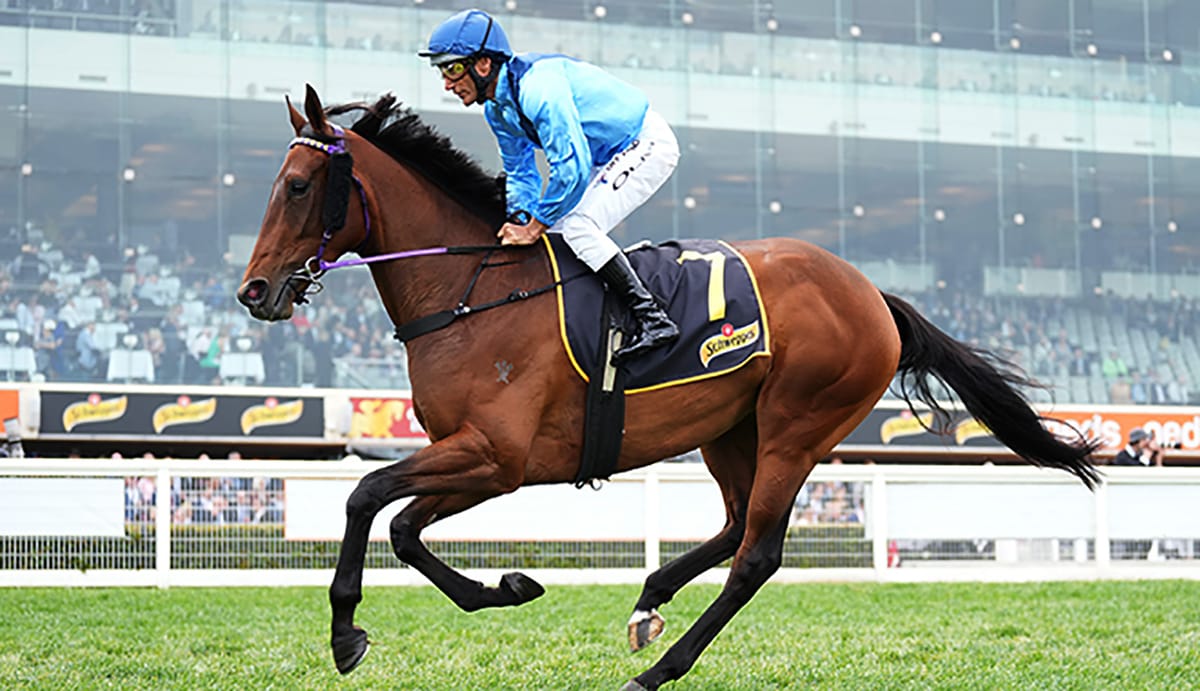 $500 mare begins Basilinna story