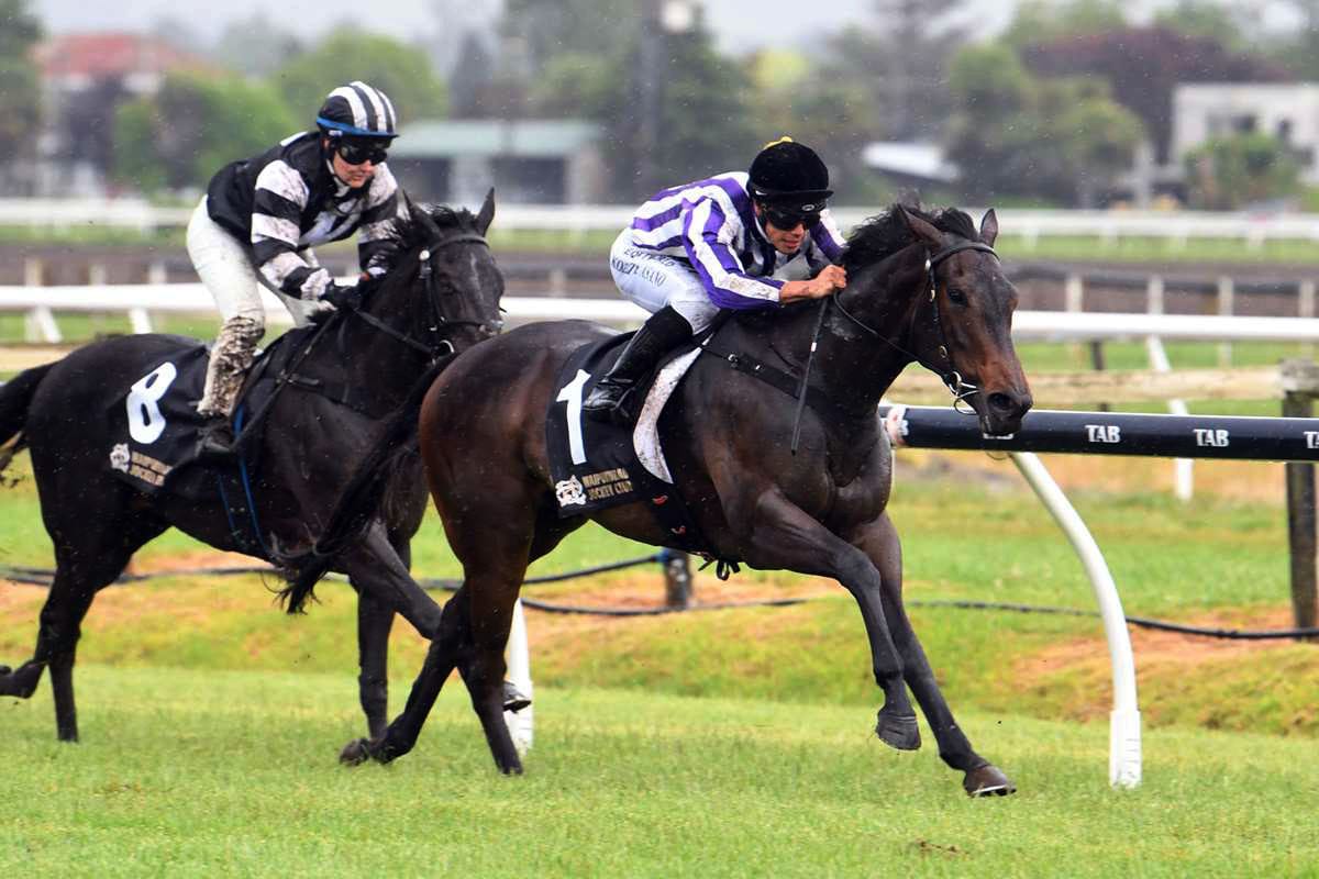 Bedtime Story becoming a dream