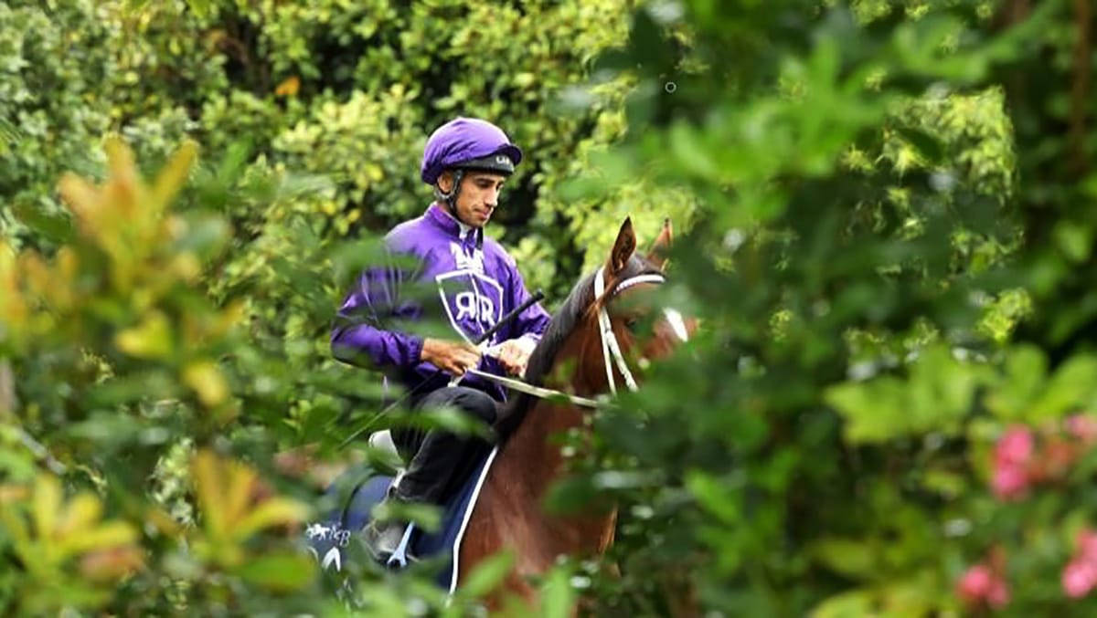 Ormsby set to present top RTR draft