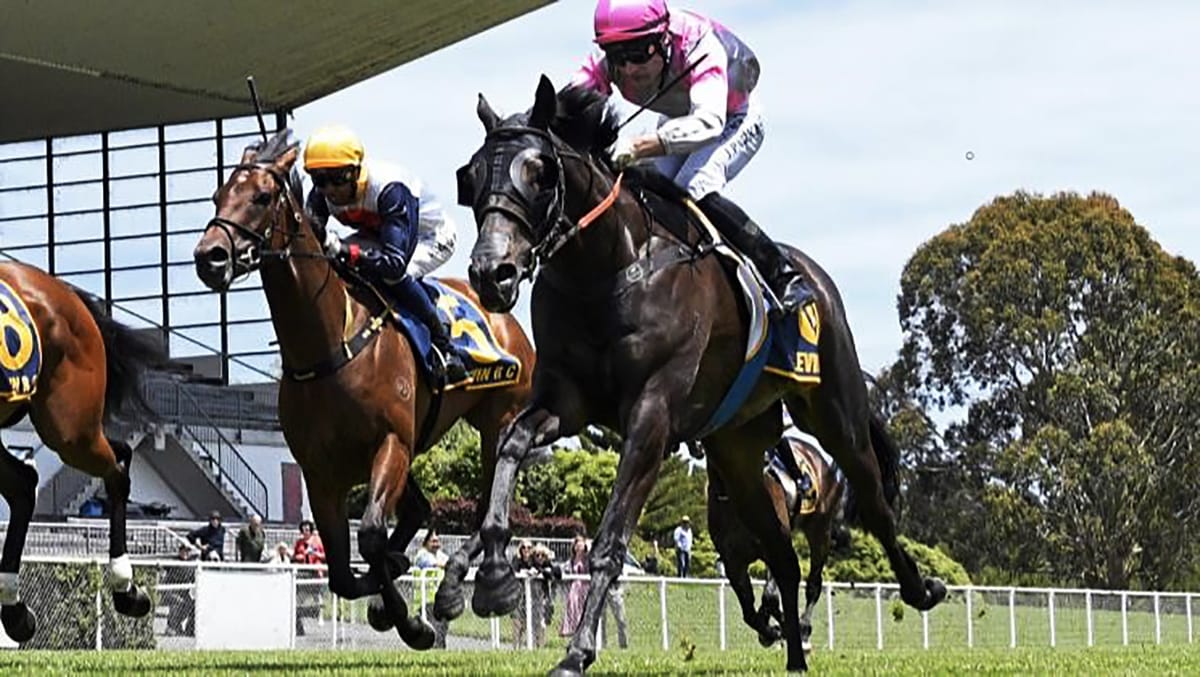 Parkes posts memorable win at Otaki