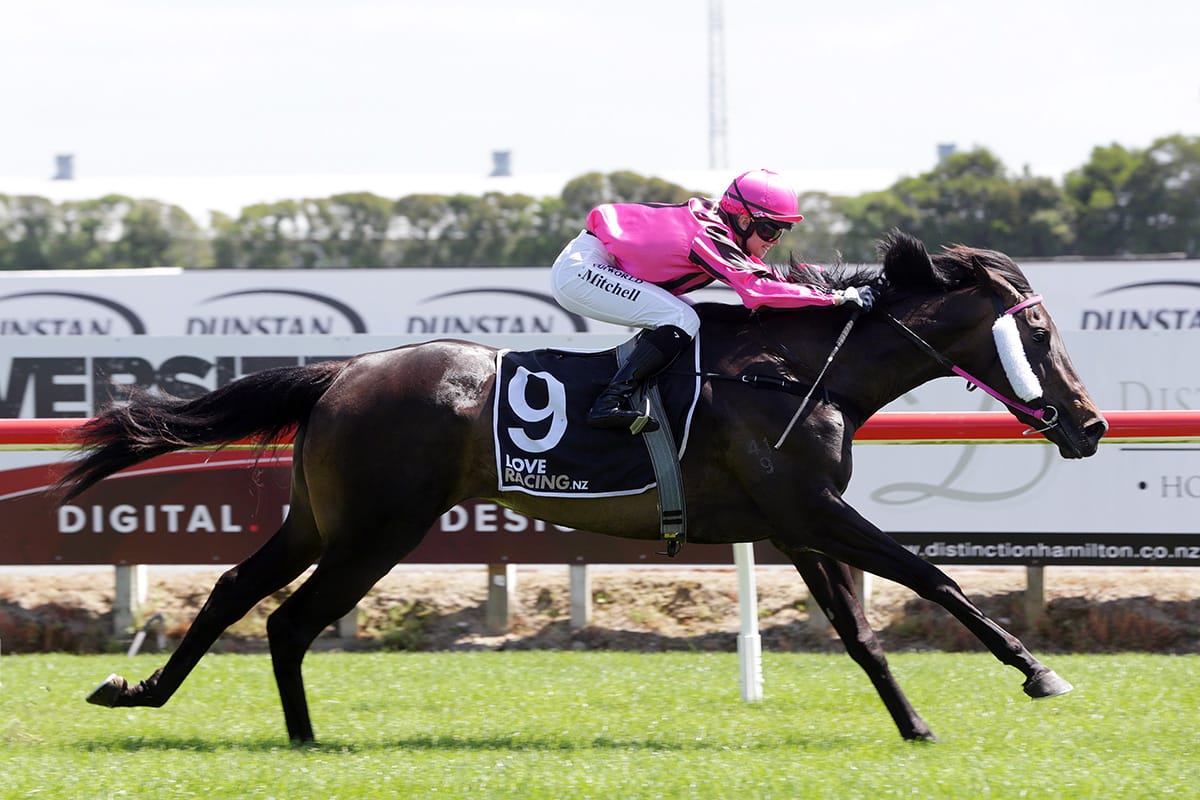 Complicate aiming for Remutaka Classic berth