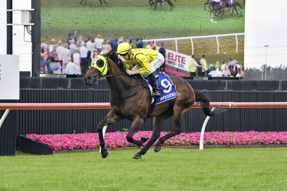 Detonator Jack dominates The Gong