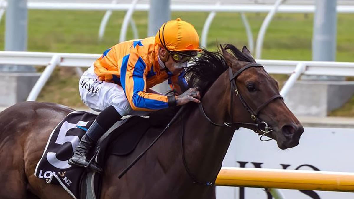 Stakes goals for Riccarton winner