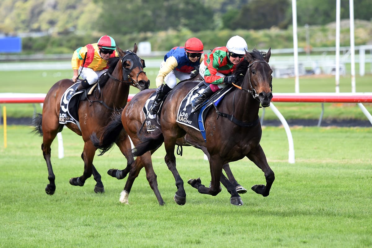 Shaw heading north to hunt Ellerslie prizes