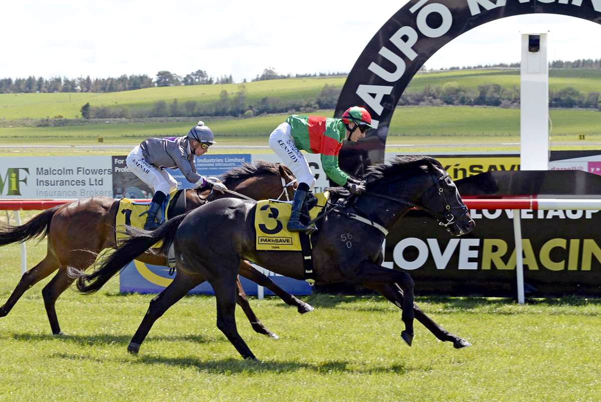 Wexford team out in force at Taupo