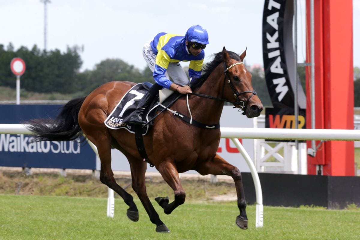 Wexford filly seeking black-type at Te Rapa