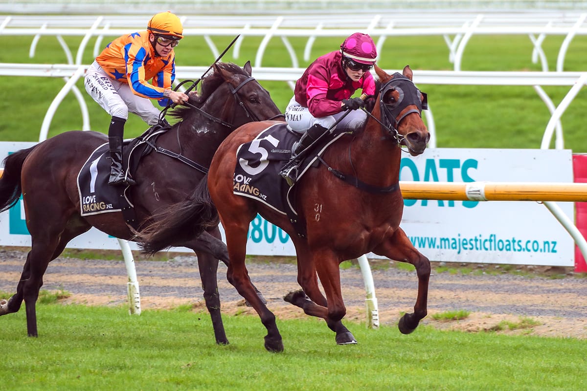 Illicit Dreams aiming to get Guineas prep back on track