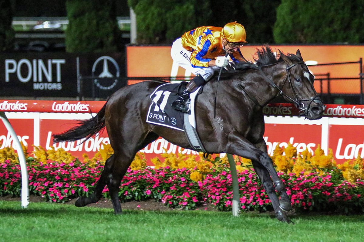 Imperatriz looking to finish Spring on a high