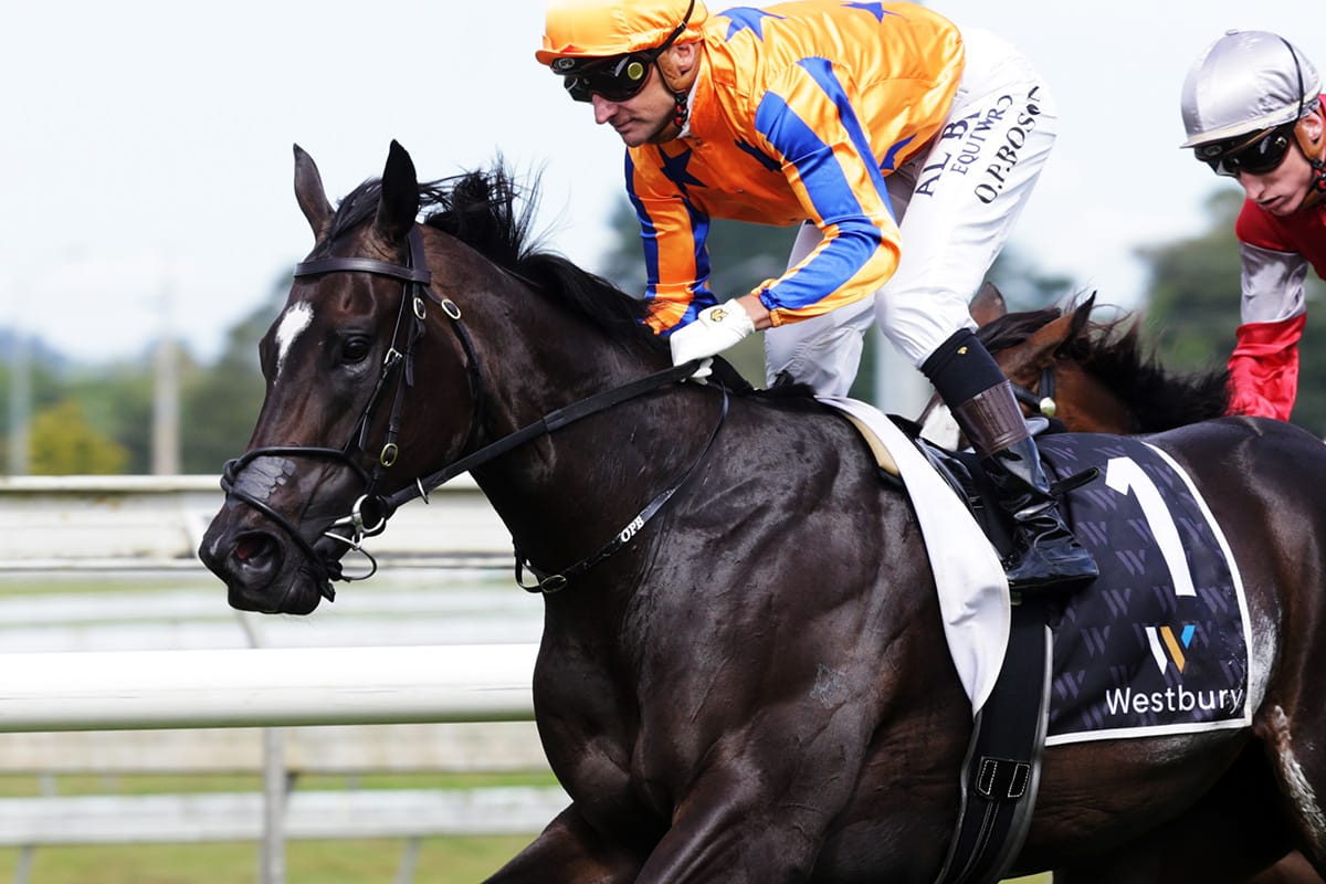 Entain and Auckland Thoroughbred Racing embrace new partnership